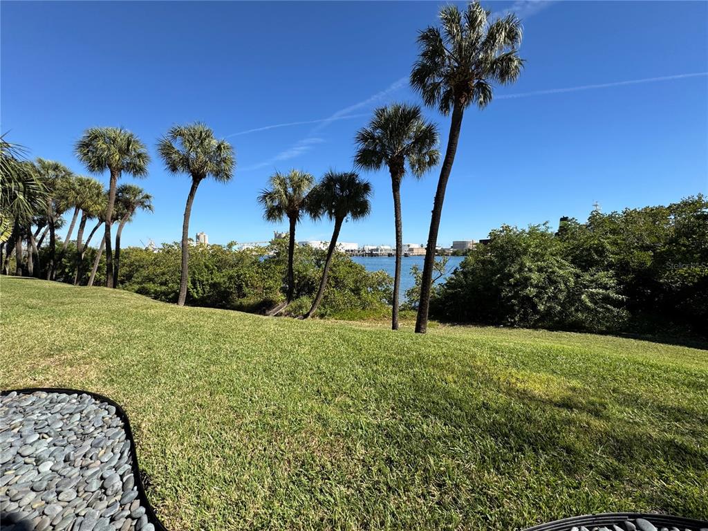 1420 Harbour Walk Road Tampa, FL 33602 - Photo 62 of 75