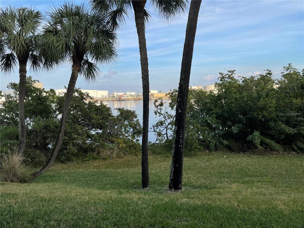 1420 Harbour Walk Road Tampa, FL 33602 - Photo 63 of 75