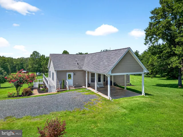 a view of a lush green forest with a lake