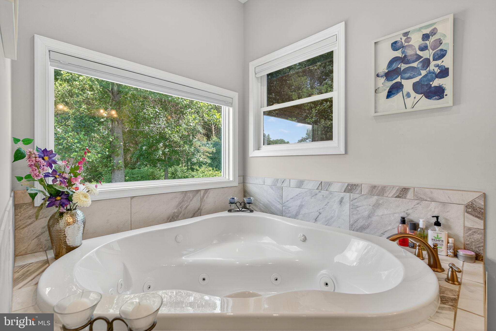 14451 Jenkins Ridge Road Culpeper, VA 22701 - Photo 25 of 78 a white bath tub sitting in a bathroom next to a window