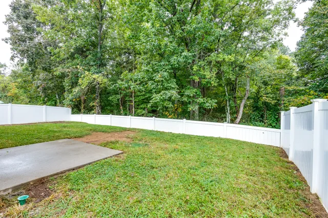 a view of a yard with a large trees