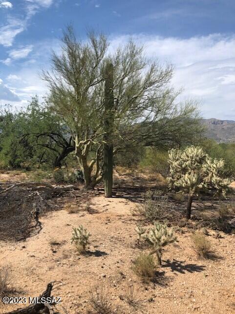 12220 East Prince Road Tucson, AZ 85749 - Photo 6 of 10 Gallery Image 6