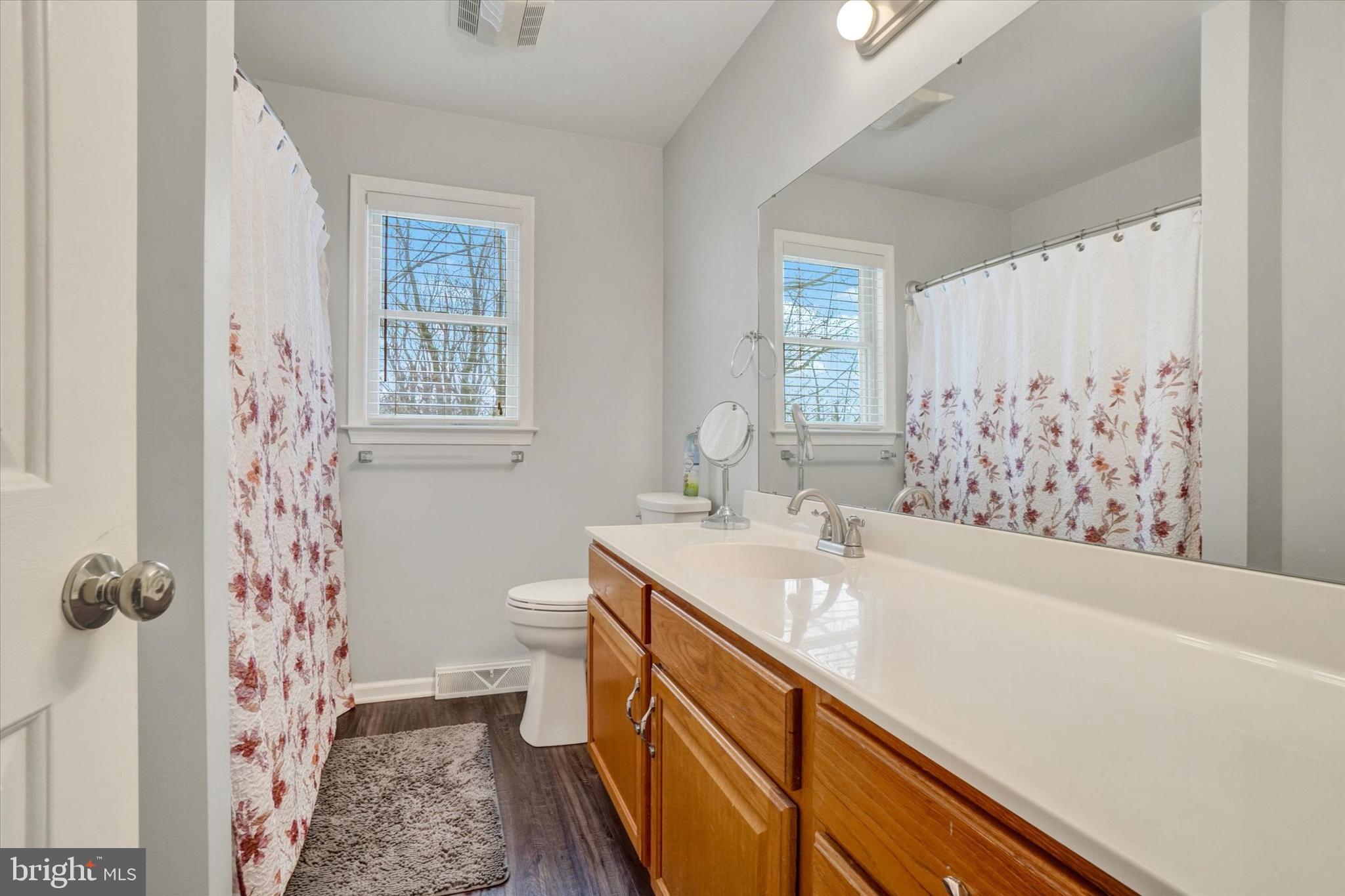 194 Willis Road Etters, PA 17319 - Photo 11 of 31 a bathroom with a sink and a mirror