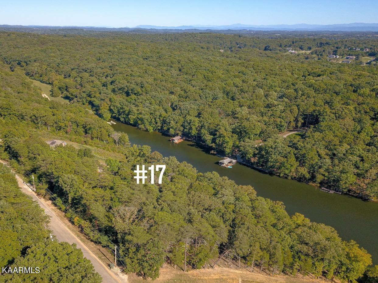 Lot #17 Blackberry Ridge Road Lenoir City, TN 37772 - Photo 19 of 20 C3D24605-453D-4040-977B-253732406538