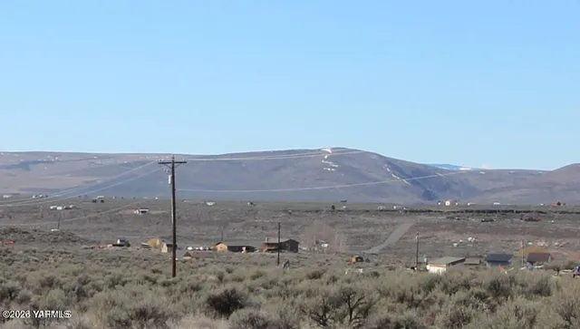 a view of a dry forest
