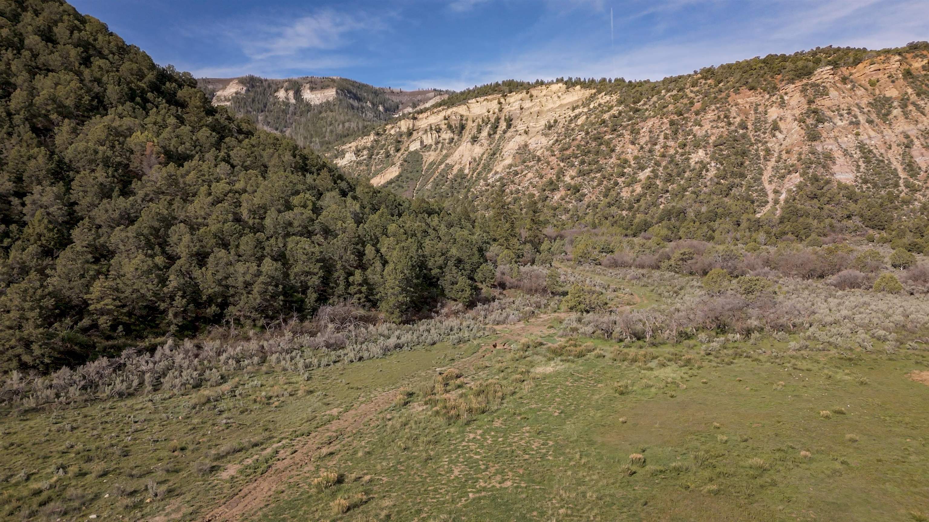 11799 Highway 13 Rifle Co 81650 Rifle, CO 81650 - Photo 15 of 42 Gallery Image 15