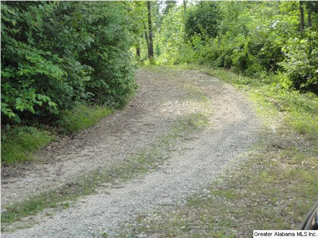 504 Journeys End Road, Unit 1 Ashville, AL 35953 - Photo 6 of 17