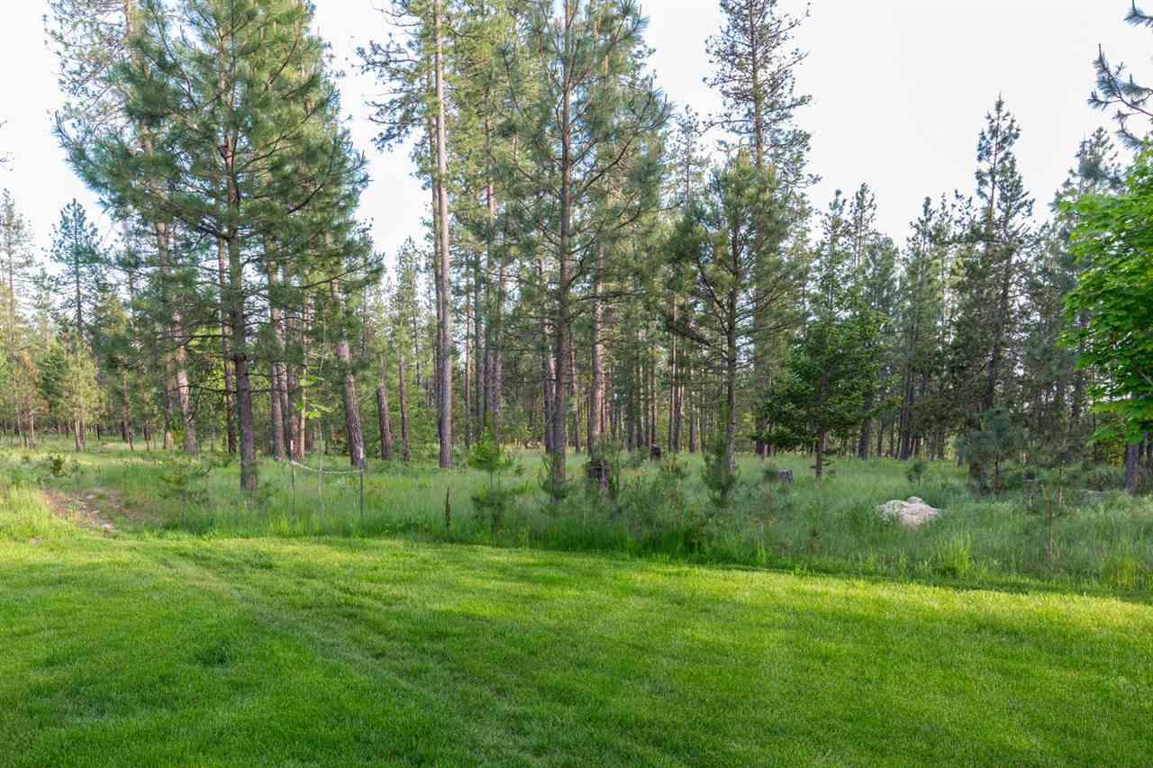 34108 North Findley Road Chattaroy, WA 99003 - Photo 19 of 20