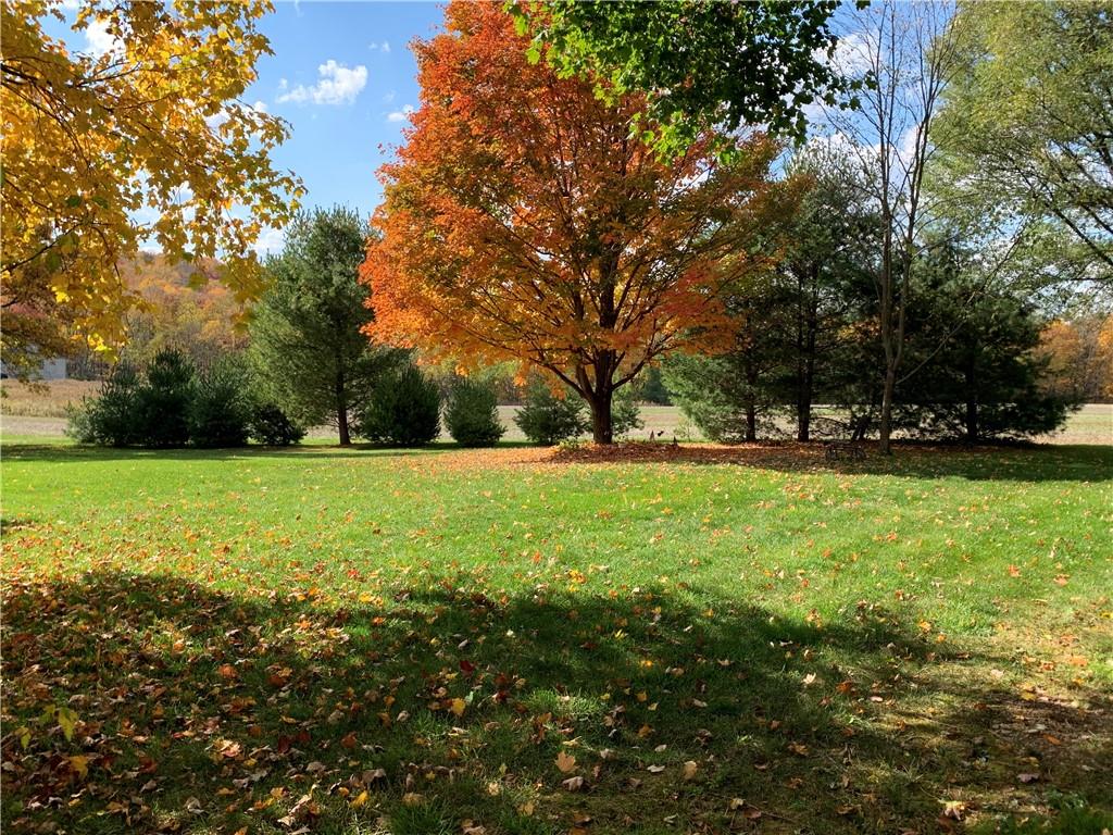 335 Bradys Ridge Road Beaver, PA 15009 - Photo 4 of 25