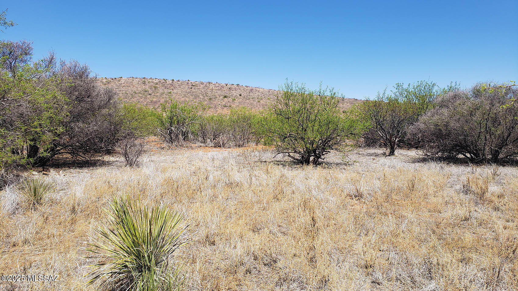5.17-ac East Rock Road, Unit 133 Pearce, AZ 85625 - Photo 15 of 15