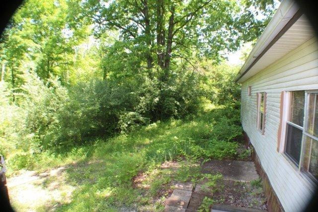 190 Maple Street Corinth, KY 41010 - Photo 8 of 15 wit the brush and trees you can't see th