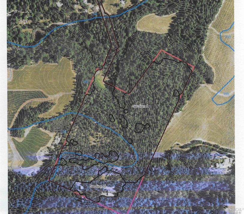 440 Cold Springs Road Angwin, CA 94508 - Photo 46 of 46