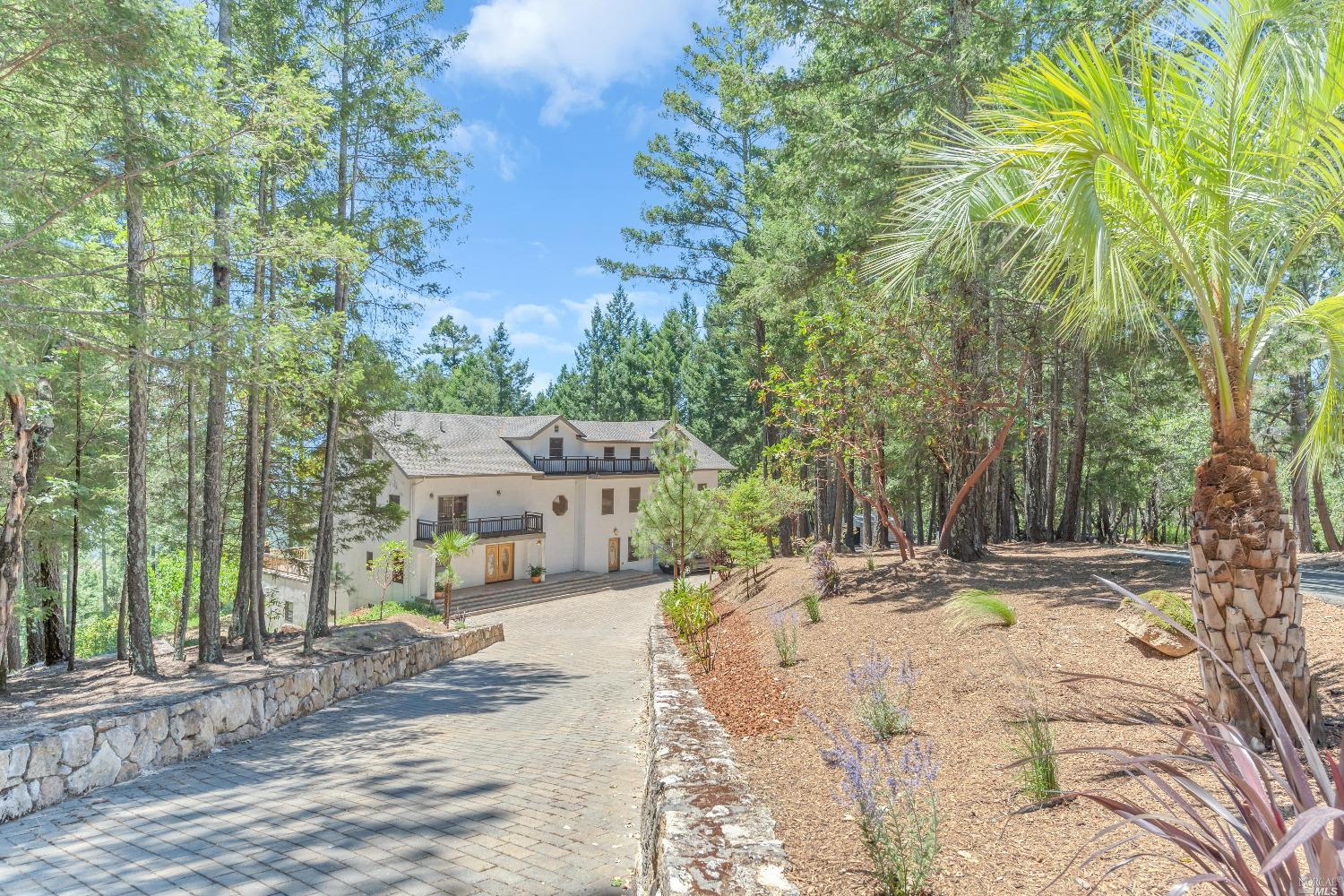 440 Cold Springs Road Angwin, CA 94508 - Photo 6 of 46