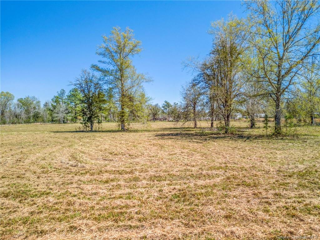 745 Foreman Road Ragley, LA 70657 - Photo 6 of 7