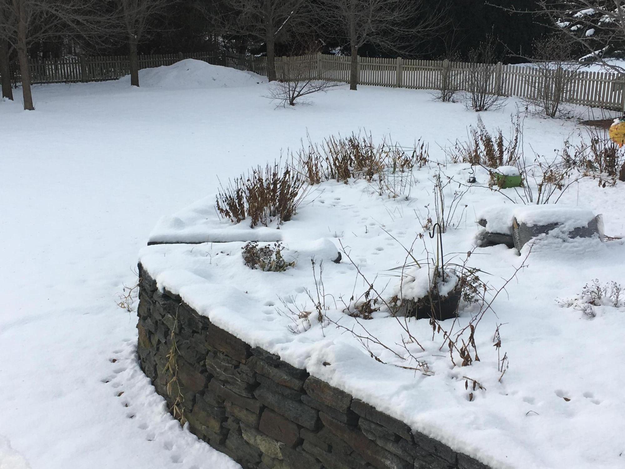 5 Coulthard Farms Road Scarborough, ME 04074 - Photo 22 of 23 IMG_2948