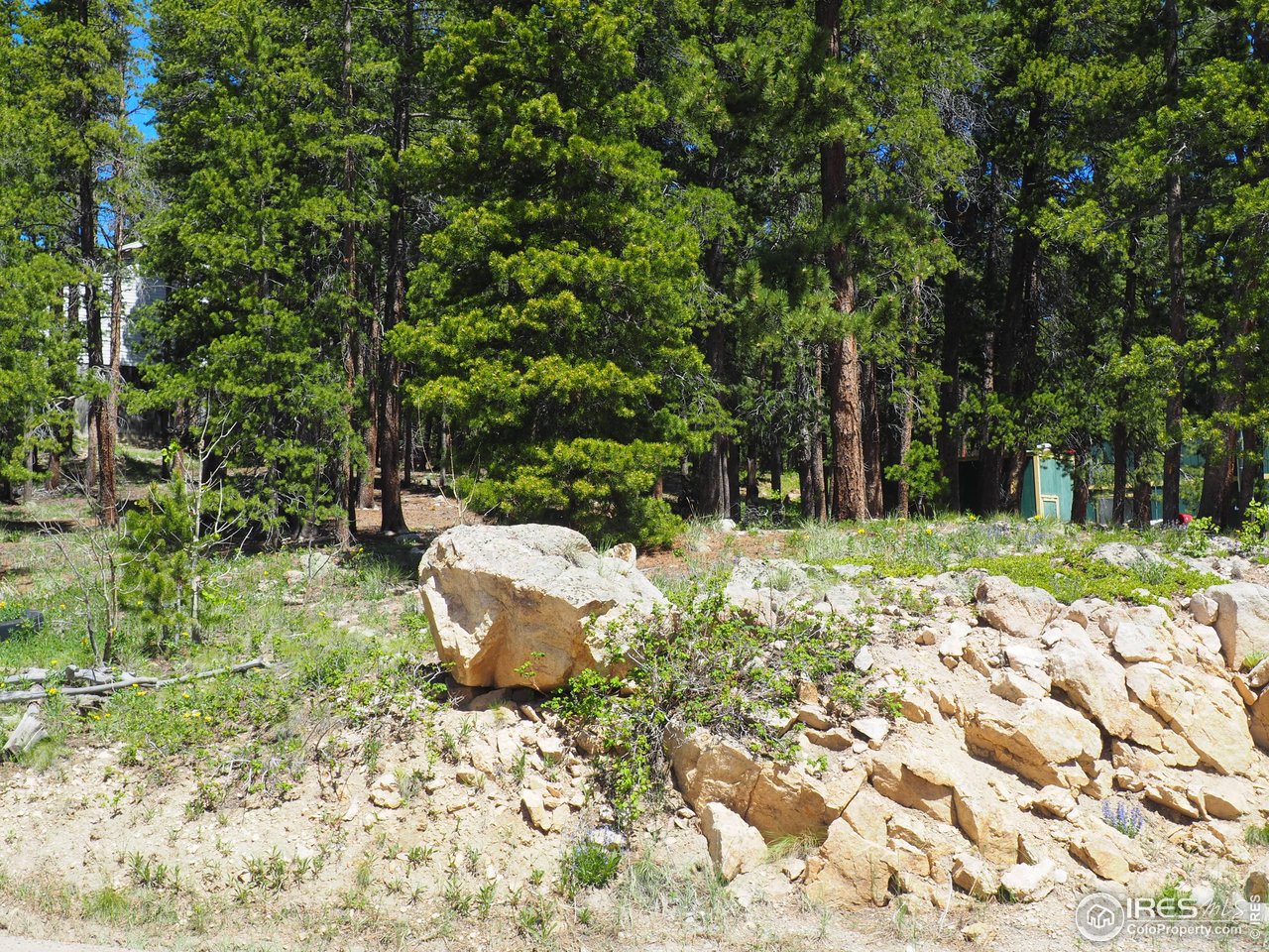 0 Caesar Road Black Hawk, CO 80422 - Photo 2 of 10 a garden view