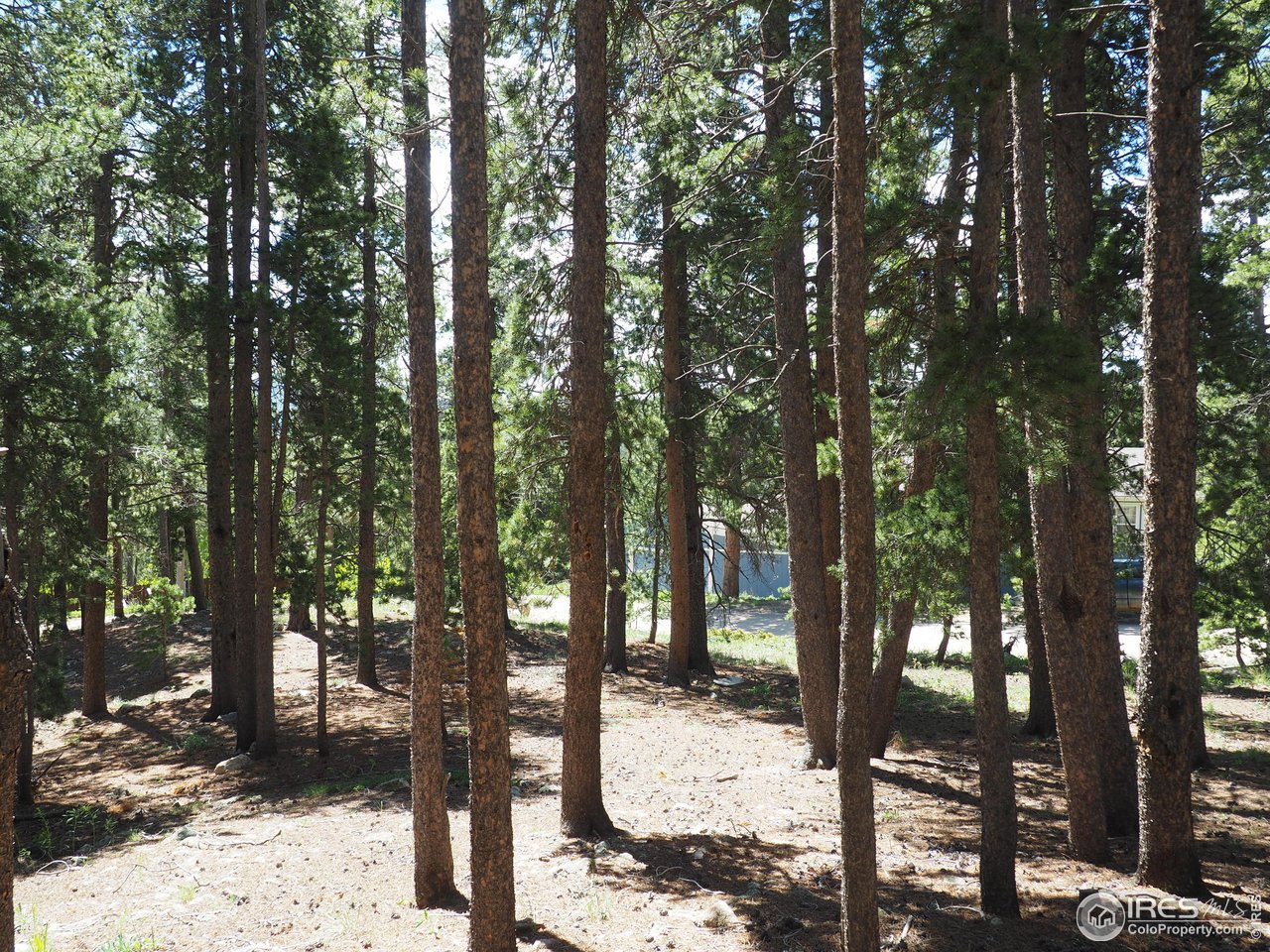 0 Caesar Road Black Hawk, CO 80422 - Photo 5 of 10