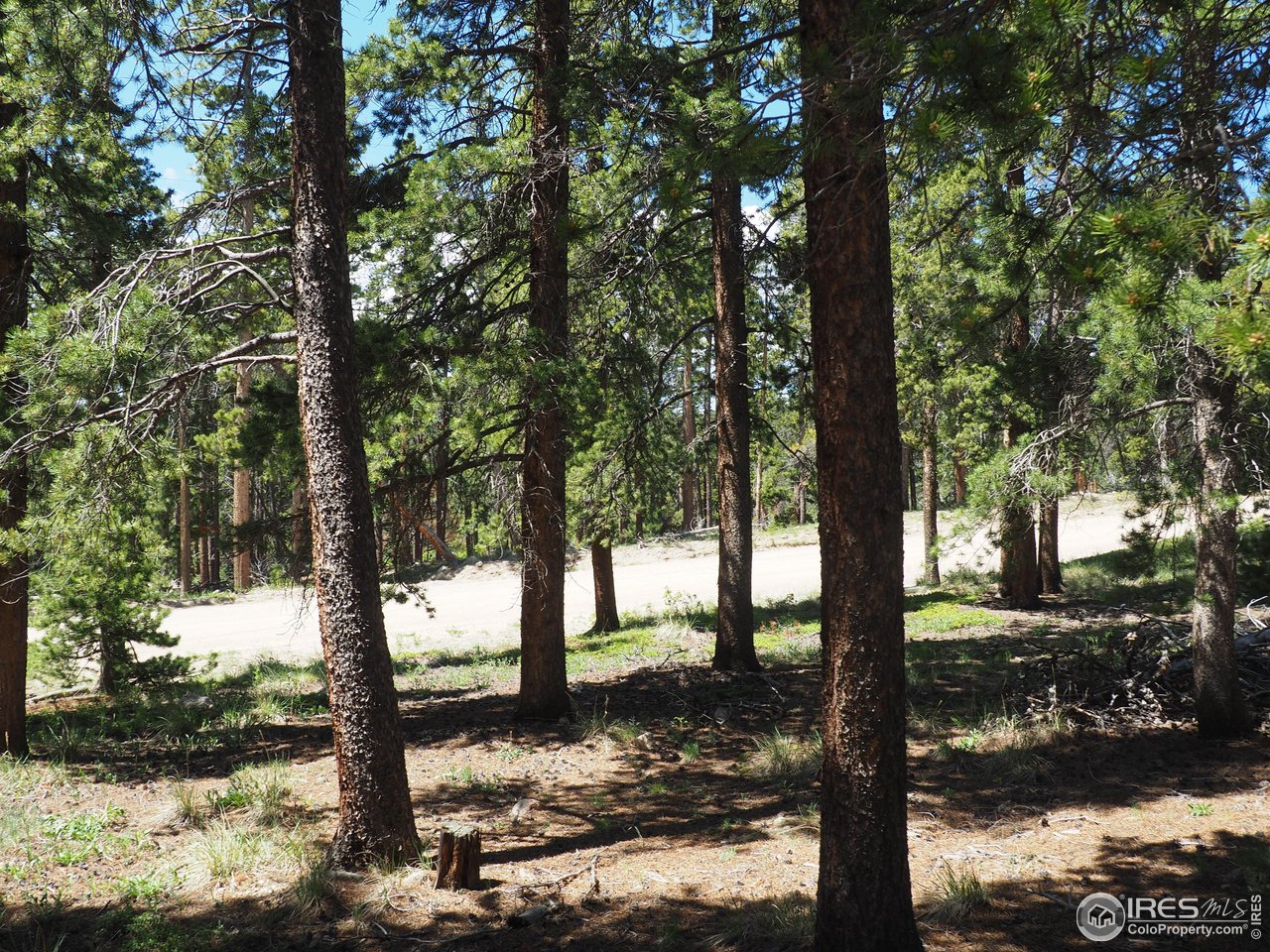 0 Caesar Road Black Hawk, CO 80422 - Photo 8 of 10 a view of a yard with large tree
