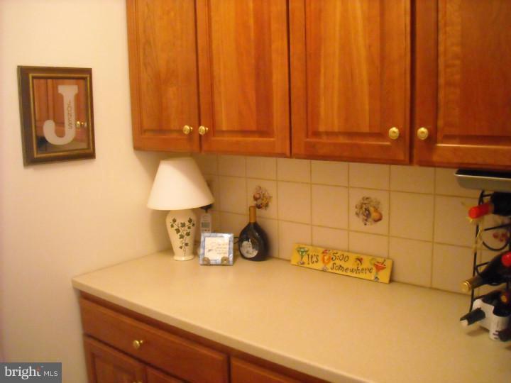 13 Edgemont Road Newark, DE 19711 - Photo 11 of 25 Butler Pantry