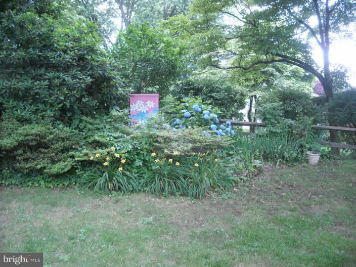 13 Edgemont Road Newark, DE 19711 - Photo 23 of 25 View in Back