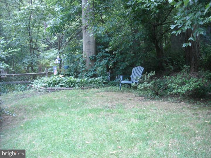 13 Edgemont Road Newark, DE 19711 - Photo 24 of 25 View in Back