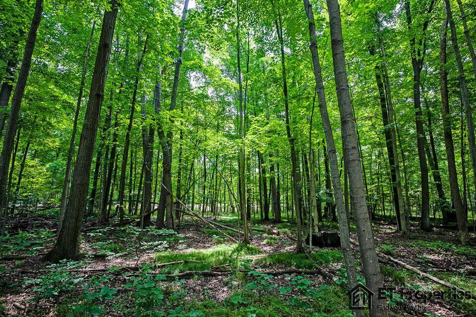 8371 14 Mile Road Northeast Cedar Springs, MI 49319 - Photo 5 of 8 6
