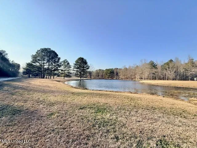 $649,000 | 167 Galilee Cutoff, Mendenhall, MS 39114