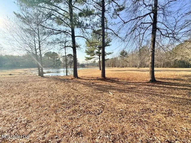 $649,000 | 167 Galilee Cutoff, Mendenhall, MS 39114
