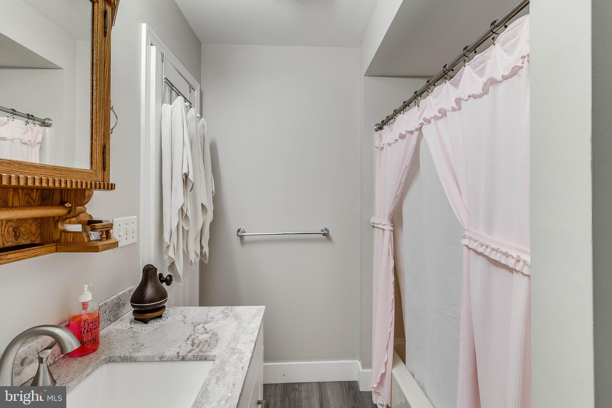 5634 Pearsons Corner Road Dover, DE 19904 - Photo 17 of 40 a bathroom with a sink and a mirror