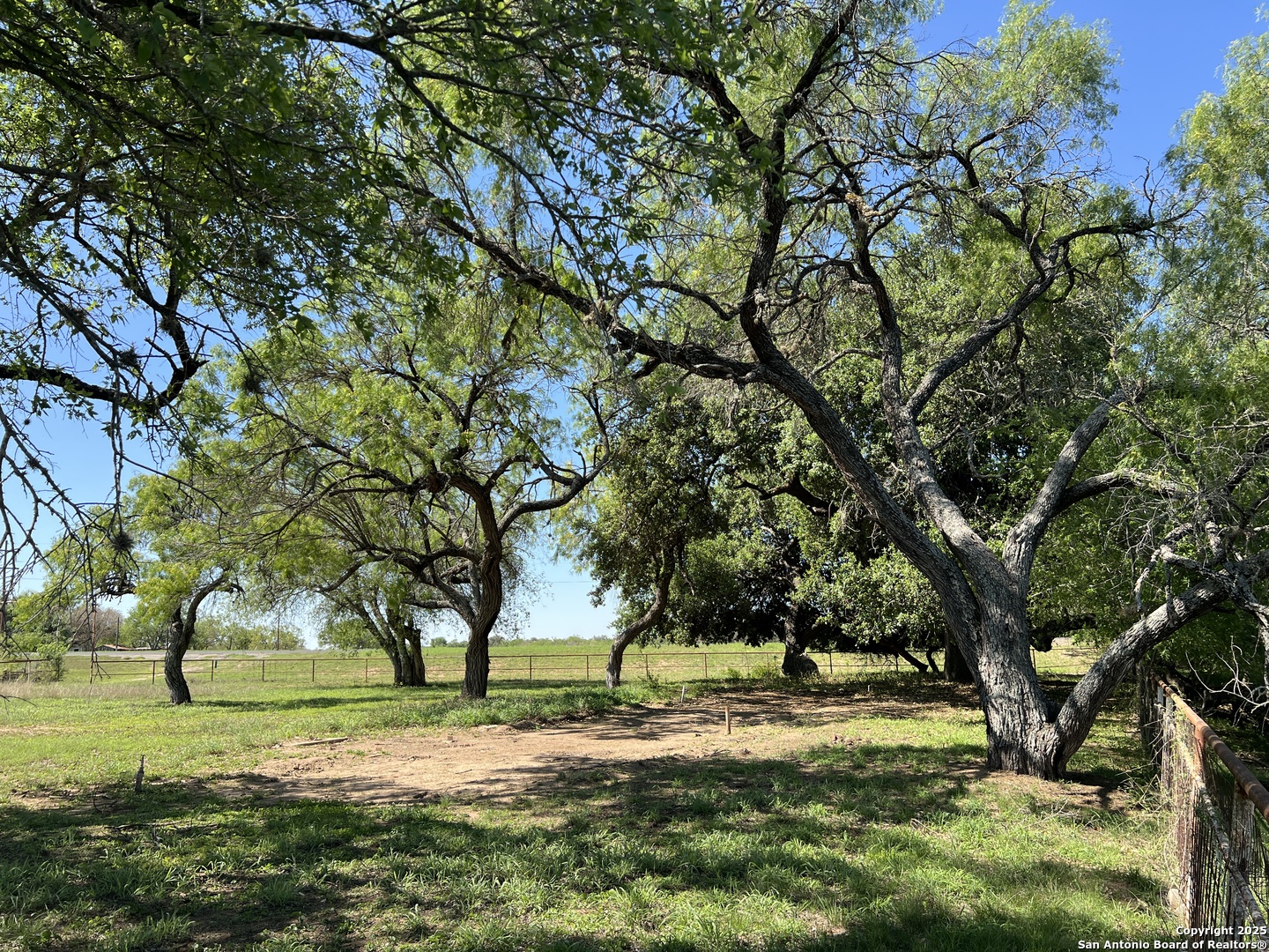 0 South State Highway Devine, TX 78016 - Photo 7 of 9