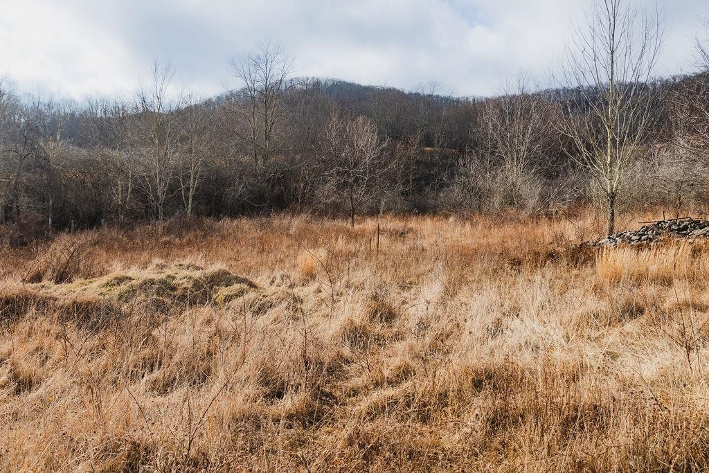 Tbd Blue Grass Valley Road Monterey, VA 24465 - Photo 11 of 22 a view of a dry yard with green space