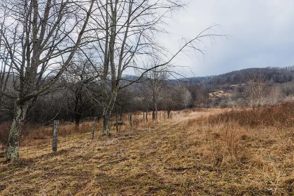 a view of mountain view with lots of trees