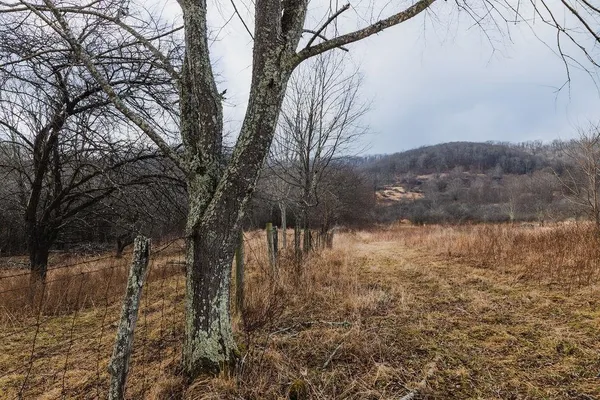 a house with trees in the background