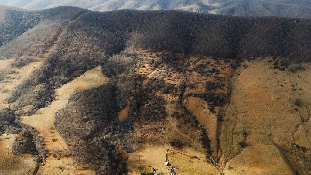 Tbd Blue Grass Valley Road Monterey, VA 24465 - Photo 19 of 22