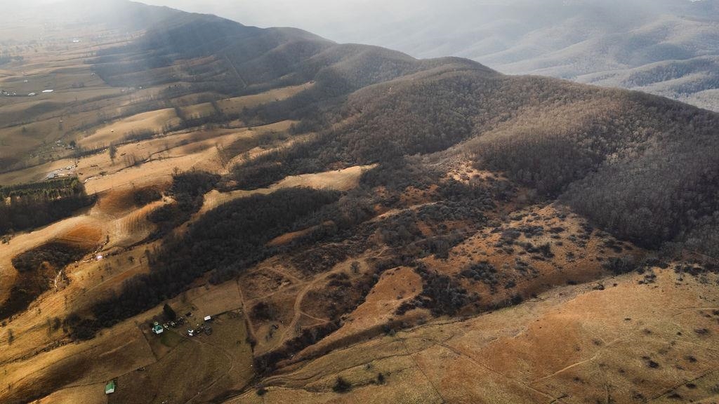 Tbd Blue Grass Valley Road Monterey, VA 24465 - Photo 20 of 22 a view of a yard