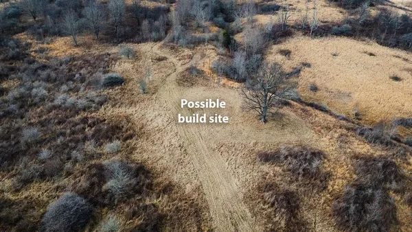 a view of a dry yard with trees