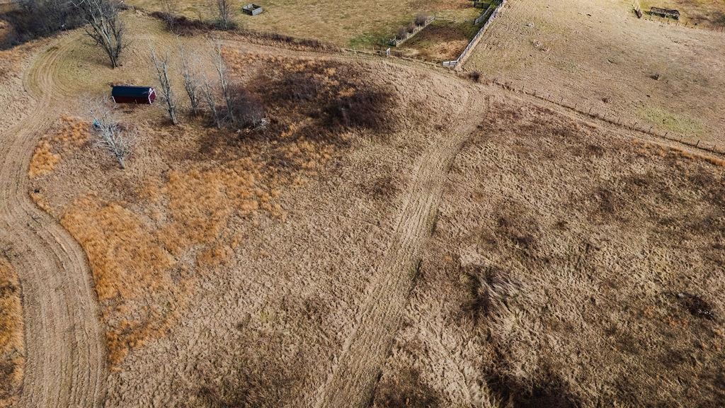 Tbd Blue Grass Valley Road Monterey, VA 24465 - Photo 3 of 22 a view of a dry yard with trees
