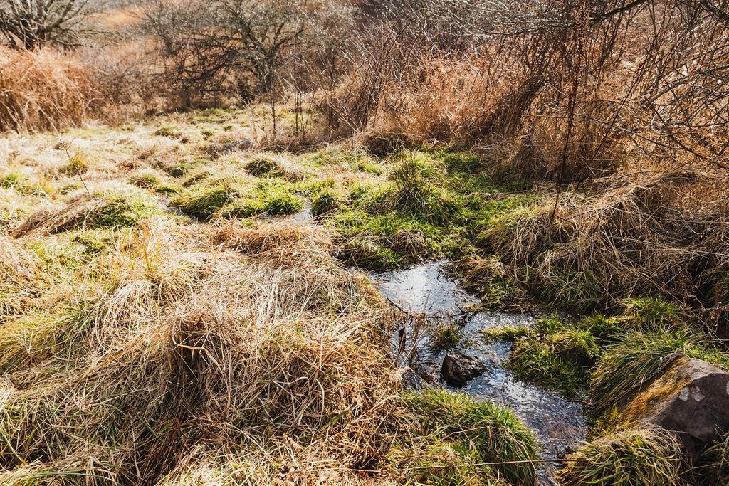 Tbd Blue Grass Valley Road Monterey, VA 24465 - Photo 7 of 22 a view of a yard