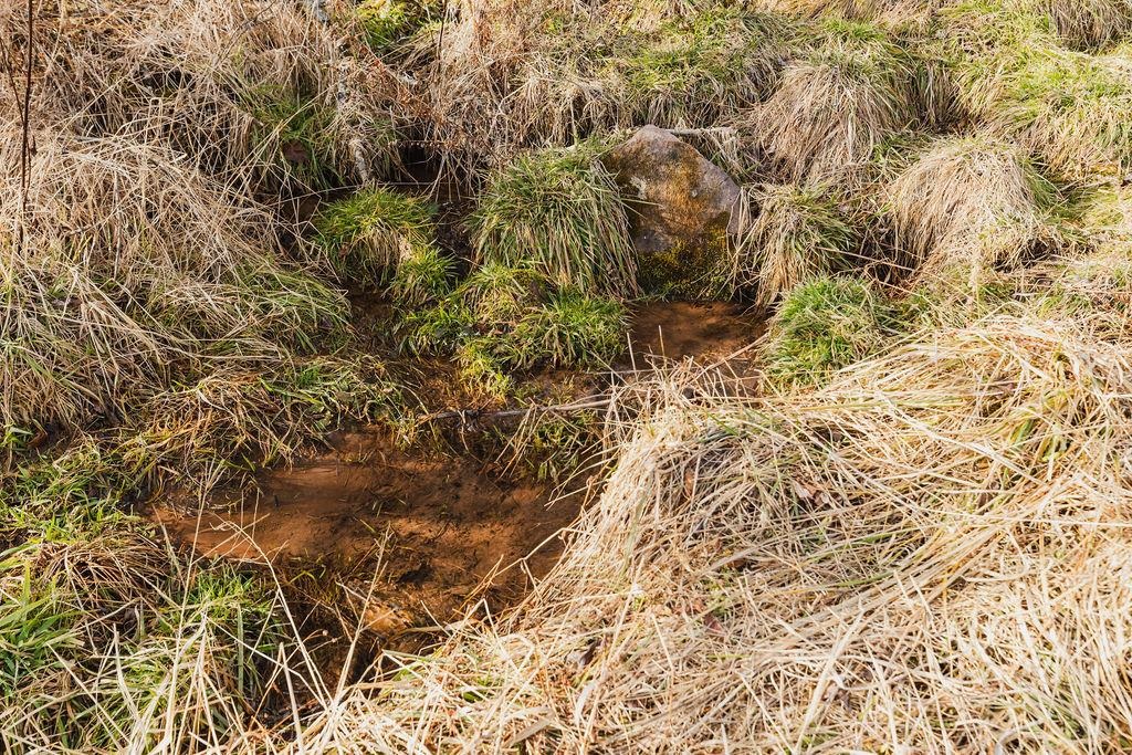 Tbd Blue Grass Valley Road Monterey, VA 24465 - Photo 8 of 22 a view of a yard