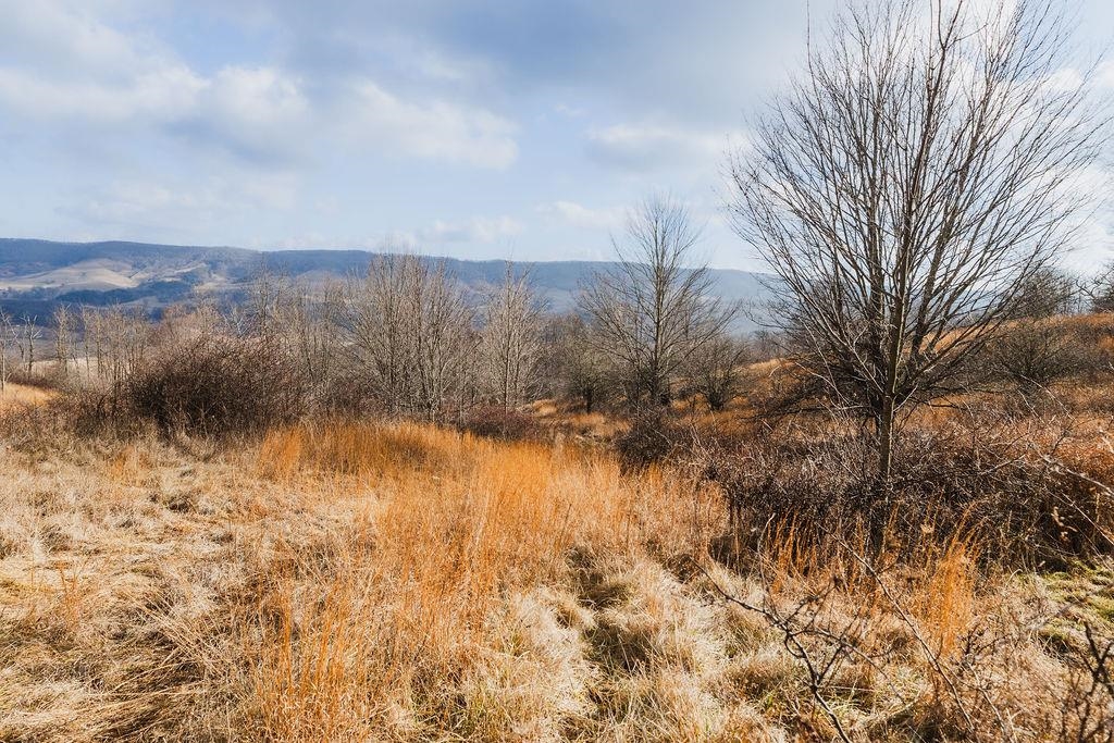 Tbd Blue Grass Valley Road Monterey, VA 24465 - Photo 9 of 22 a view of lake with mountain