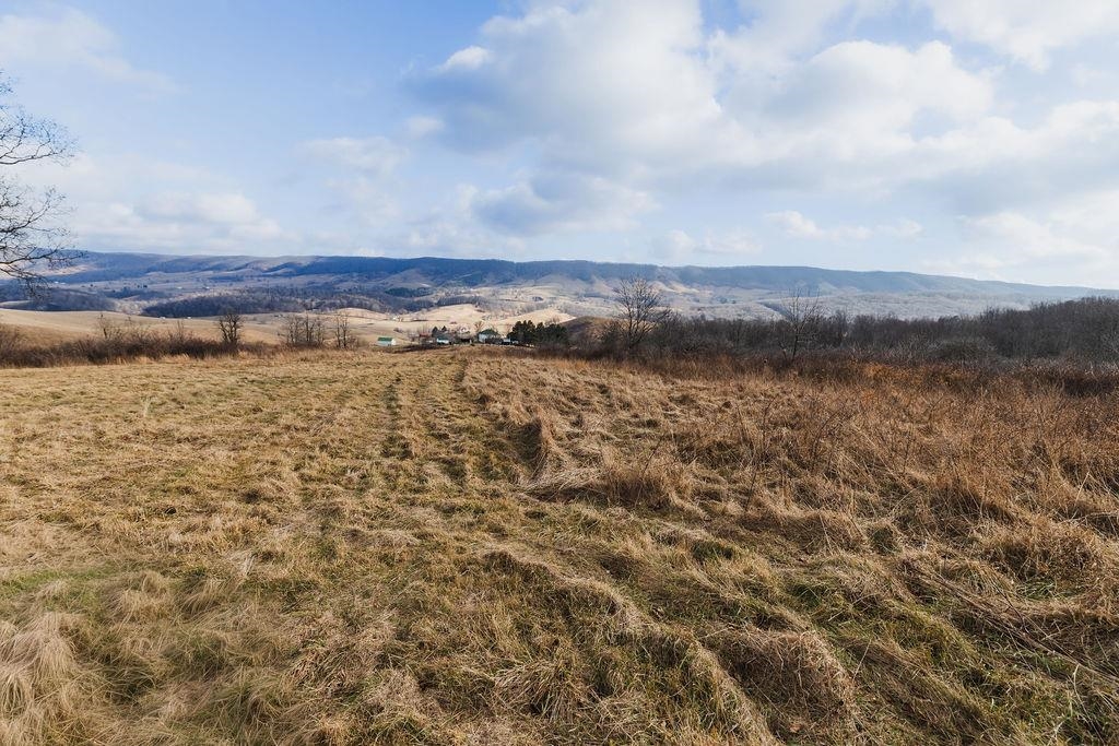 Tbd Blue Grass Valley Road Monterey, VA 24465 - Photo 10 of 22 a view of an ocean