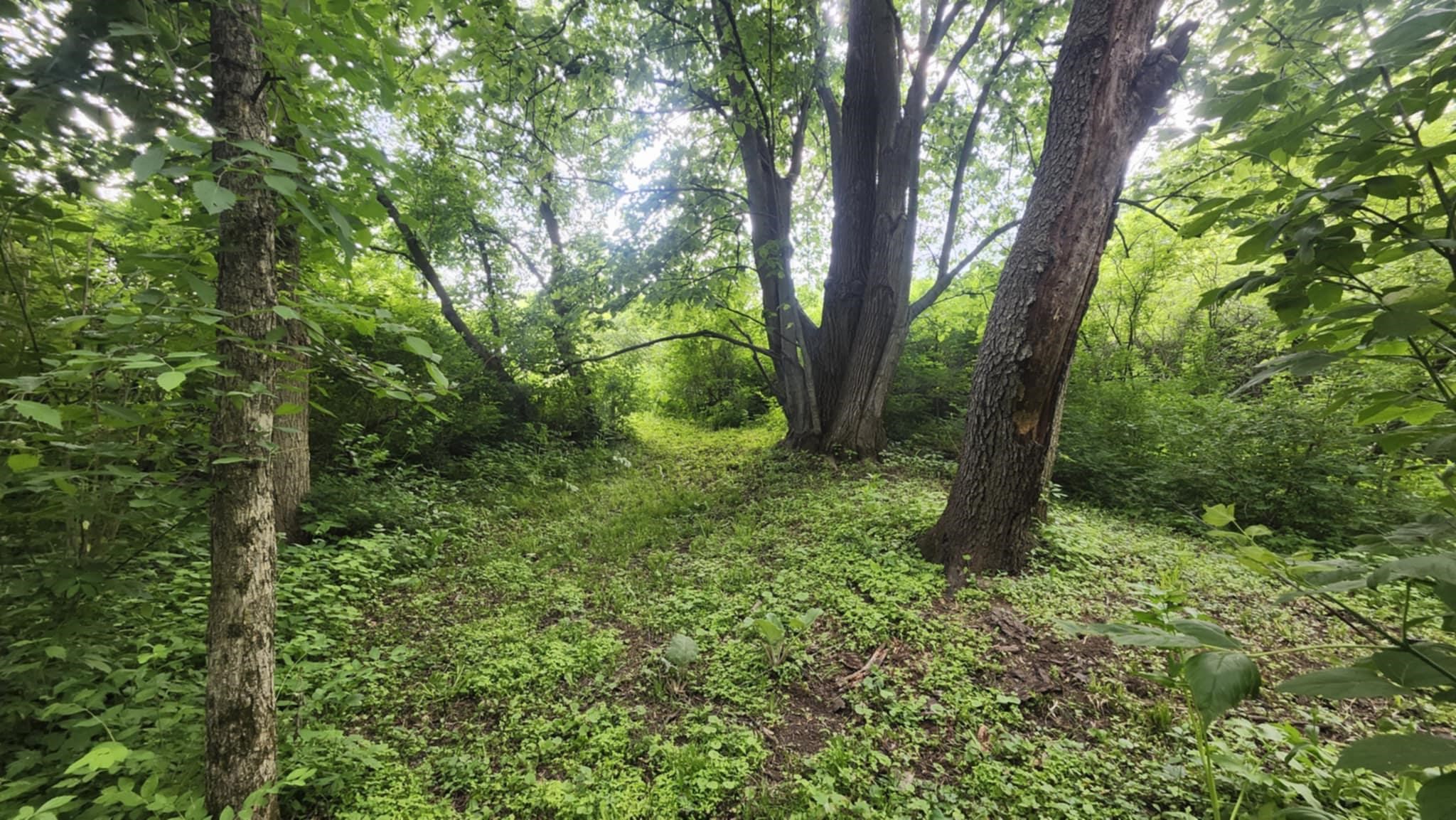 16874 Pond View Lane Mineral Point, WI 53565 - Photo 66 of 74