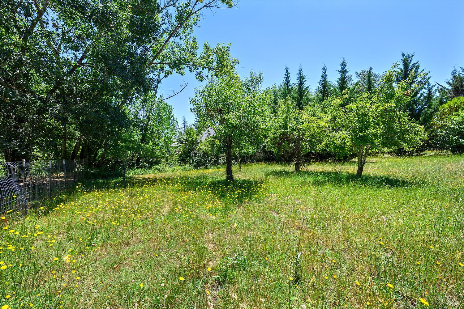 7595 Giusti Road Forestville, CA 95436 - Photo 38 of 41 a view of a park with large trees
