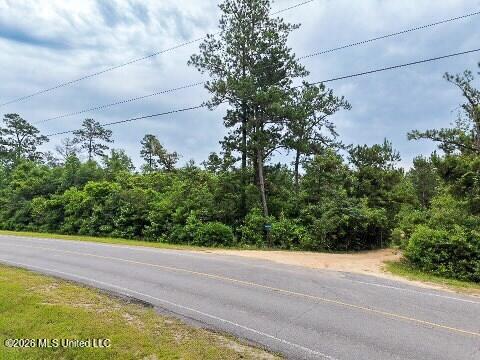 Mcneill Mchenry Road Poplarville, MS 39470 - Photo 10 of 14 10