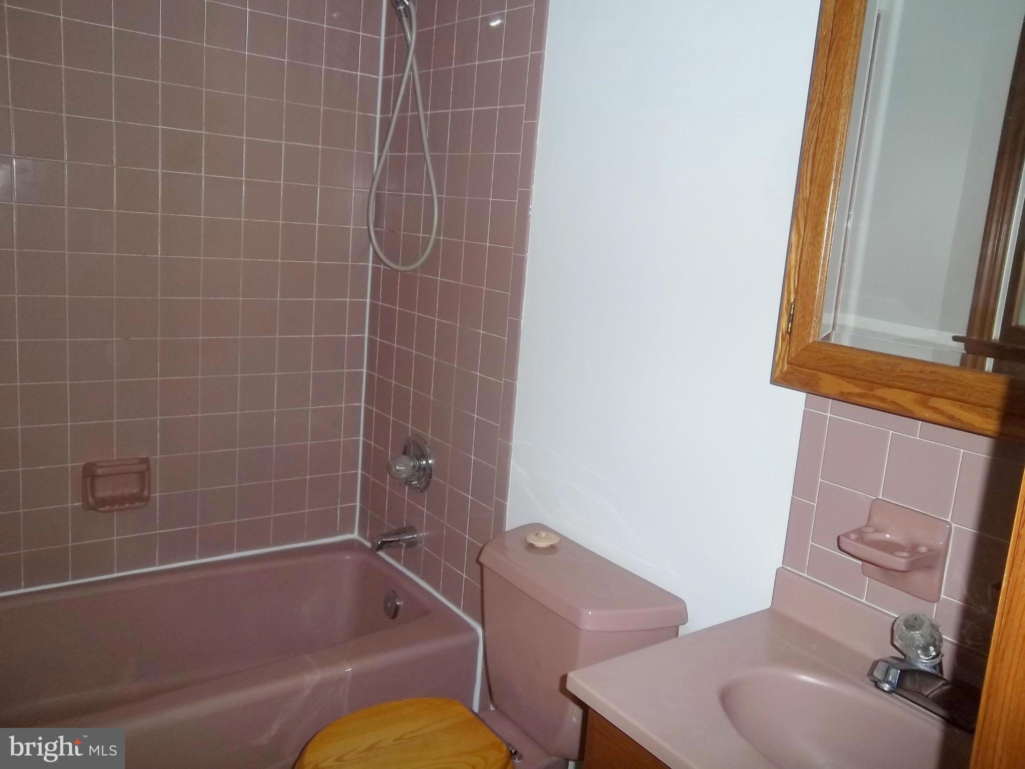 1121 Telegraph Road Rising Sun, MD 21911 - Photo 24 of 29 Bath (Master)