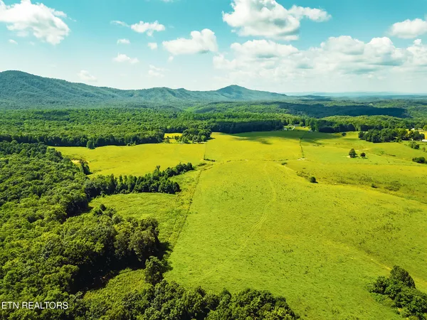 $999,000 | White Oak Circle, Sunbright, TN 37872