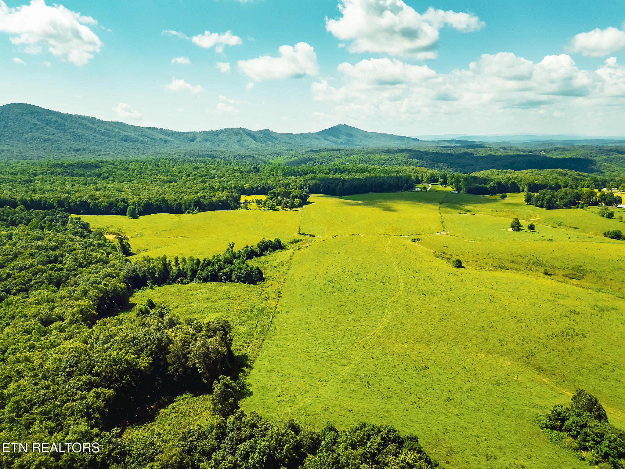White Oak Circle Sunbright, TN 37872 - Photo 11 of 15 9