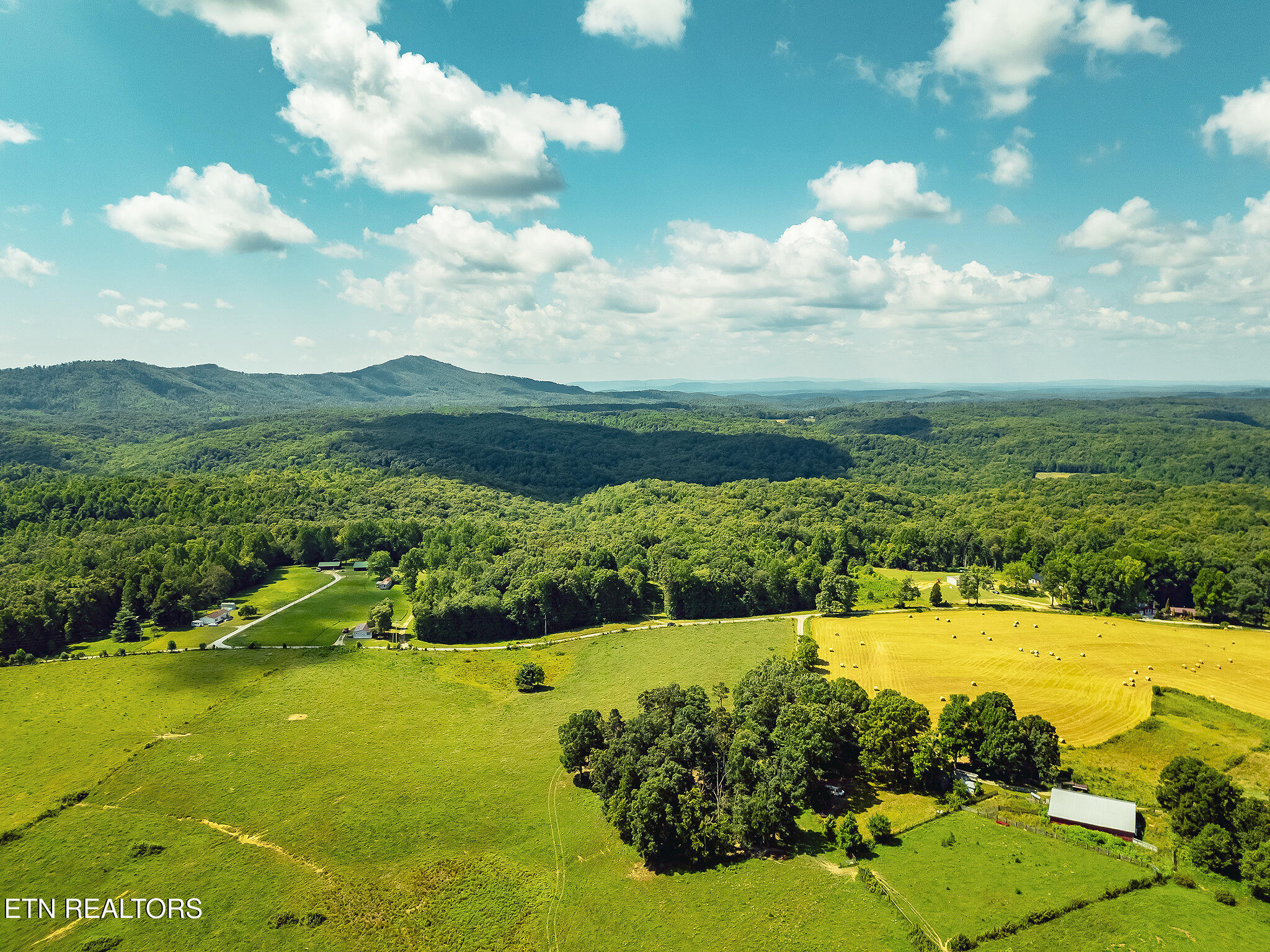 White Oak Circle Sunbright, TN 37872 - Photo 12 of 15 10