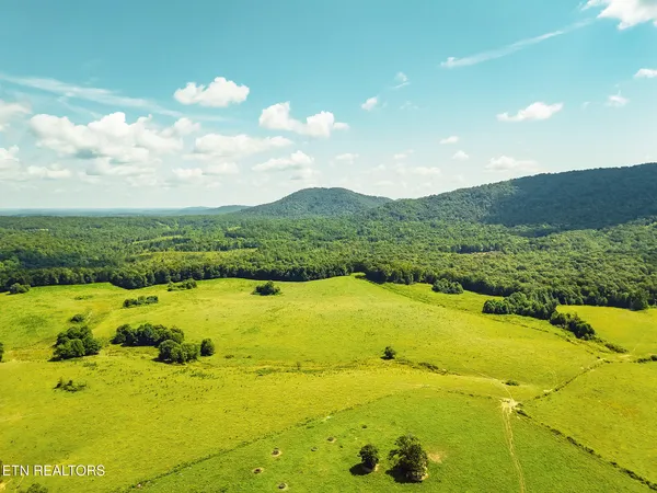 $999,000 | White Oak Circle, Sunbright, TN 37872