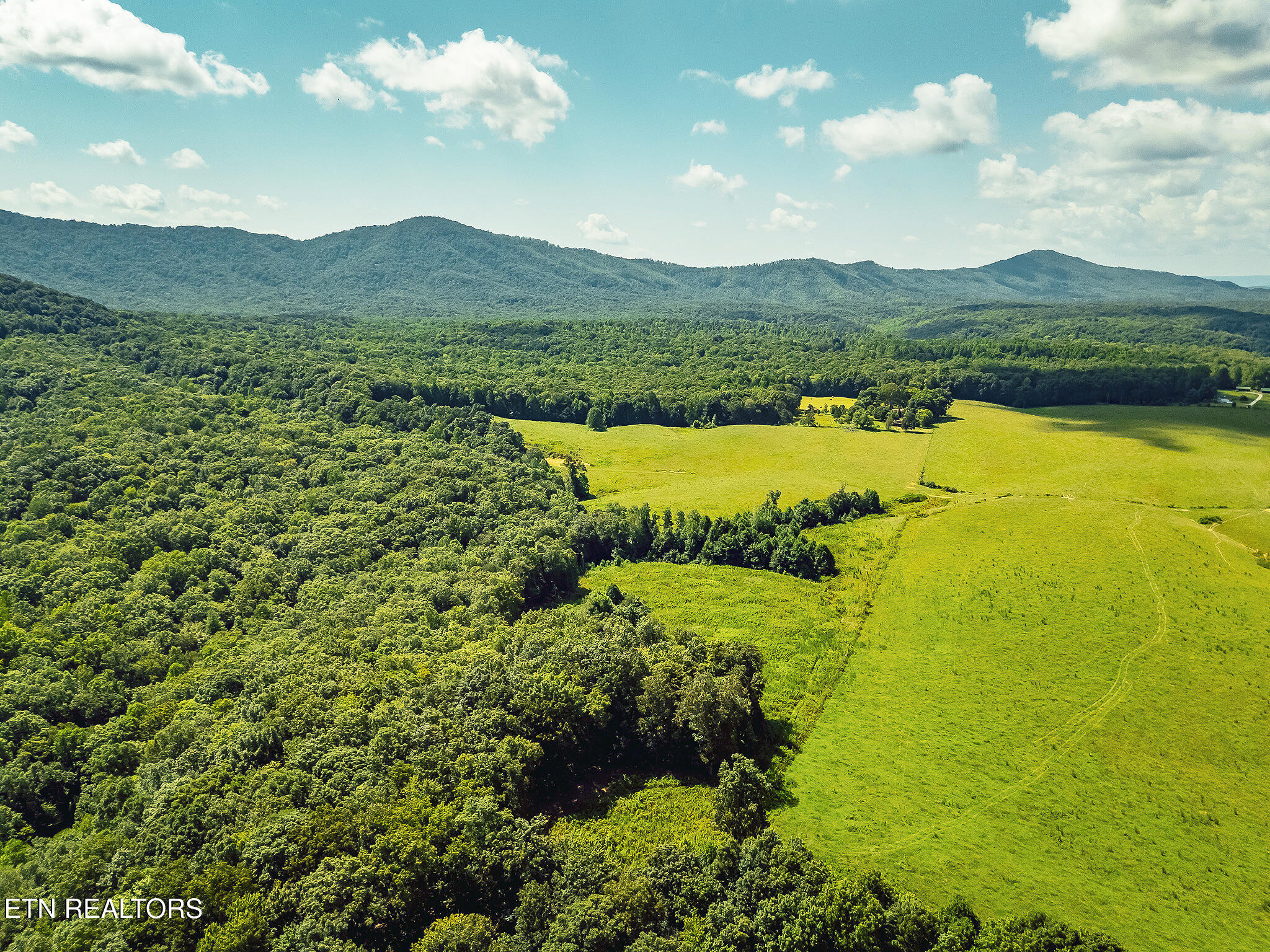 White Oak Circle Sunbright, TN 37872 - Photo 10 of 15 8